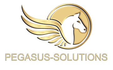 Pegasus-Solutions, l'investissement intelligent 